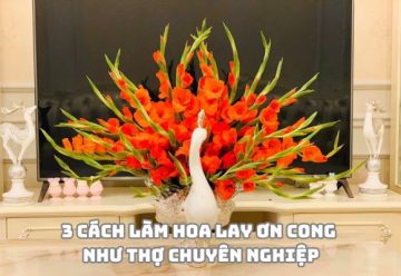 3 cách làm hoa lay ơn cong như thợ chuyên nghiệp