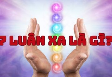 7 Luân xa là gì? Khám phá ý nghĩa và vai trò của chúng trong đời sống