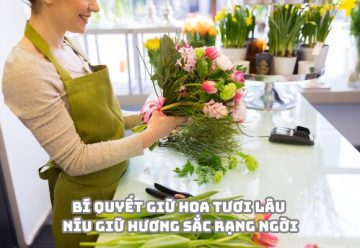 Bí quyết giữ hoa tươi lâu – Níu giữ hương sắc rạng ngời