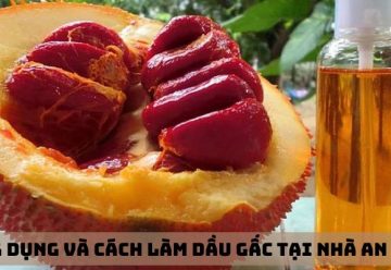 Công dụng và cách làm dầu gấc tại nhà an toàn và đơn giản