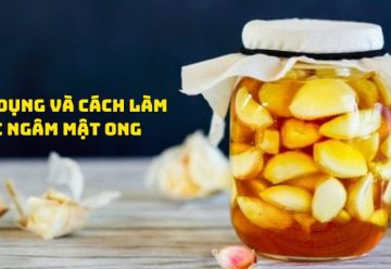 Khám phá công dụng và cách làm tỏi ngâm mật ong tại nhà